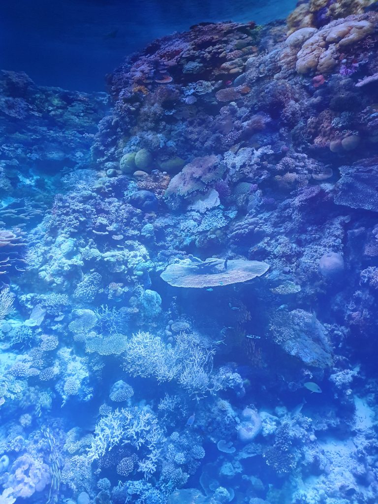 20260430_115756