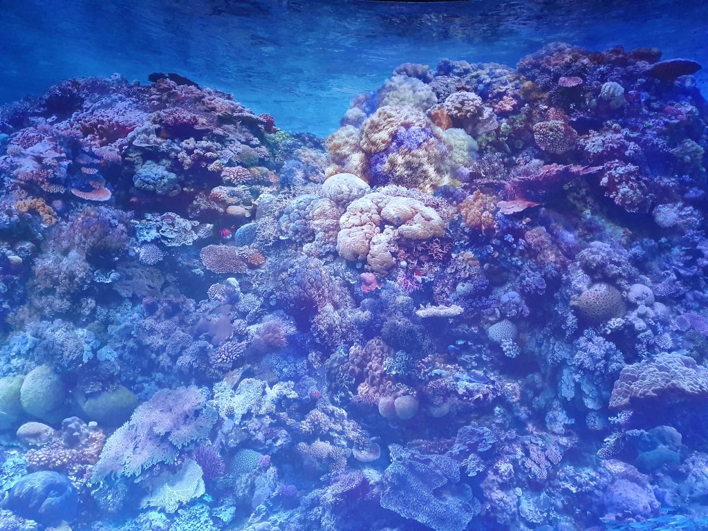 20260430_121648