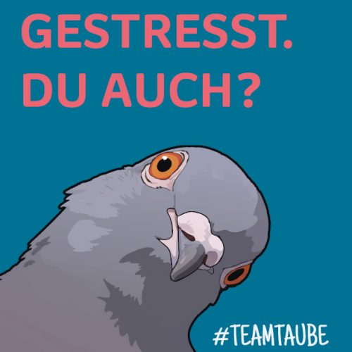 Form&Fokus_Projekt_Citycards_Stadttauben-Initiative105x148_v7